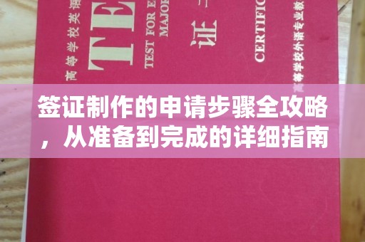 利辛签证制作的申请步骤全攻略，从准备到完成的详细指南